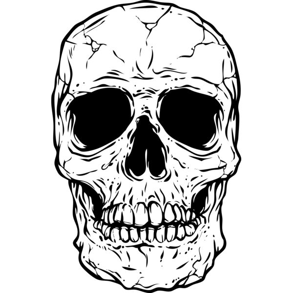 Skulls Thumbnail